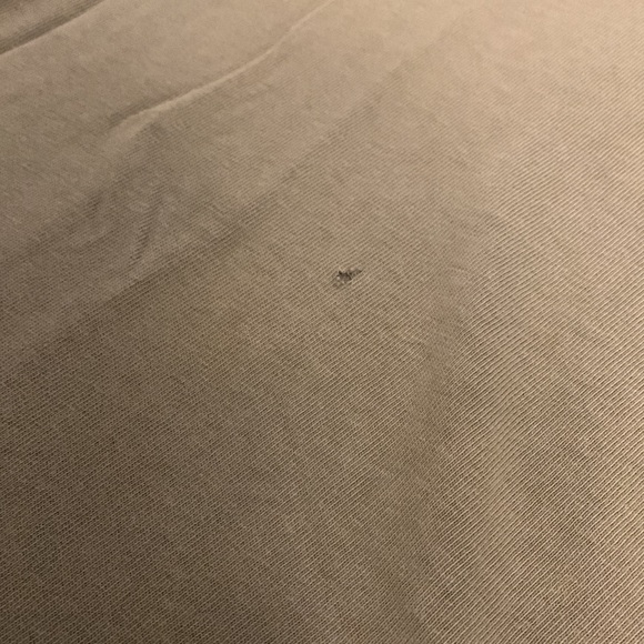 Vintage Champion - Picture 3 of 4